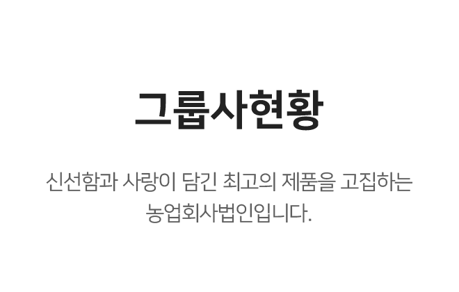 그룹사 현황
